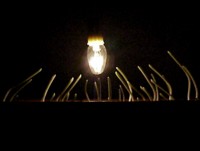 A single, glowing light bulb centered in darkness, surrounded by several thin, curved stalks or sprouts reaching upward toward the light.