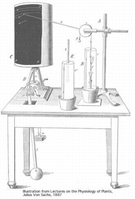 Historical line drawing from Julius Von Sachs' 1887 book showing an early plant physiology apparatus, likely an auxanometer or clinostat, with a plant in a chamber and a mechanical recording drum.