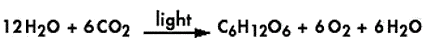 Picture of a balanced chemical equation for photosynthesis