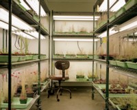 Picture of a room full of shelves with containers that have plant specimens inside of them occupying the shelves.