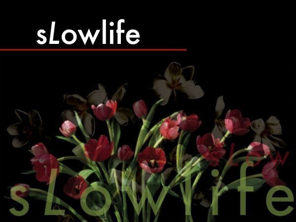 slowlife tulip logo